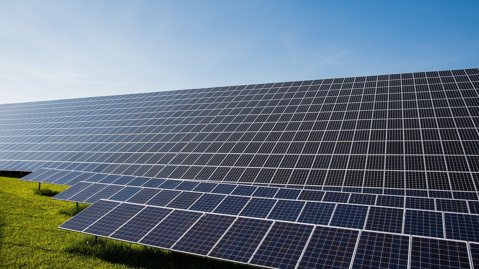 Rows of solar panels in a grassy field