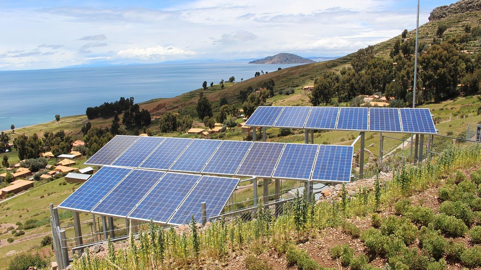 Rows of solar panels catching afternoon sun
