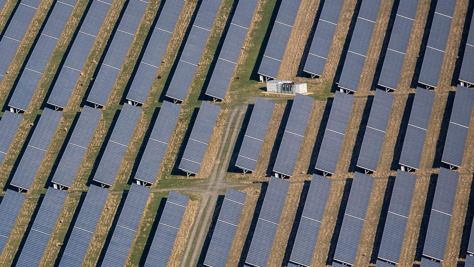 Rows of solar panels under a bright sky