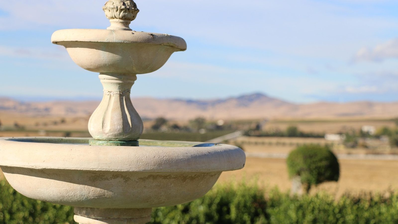 Vineyards in the Livermore Valley, California
