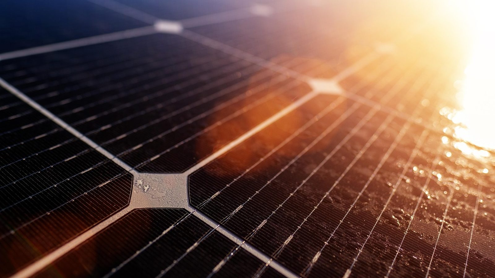 Close view of photovoltaic panels catching direct sunlight