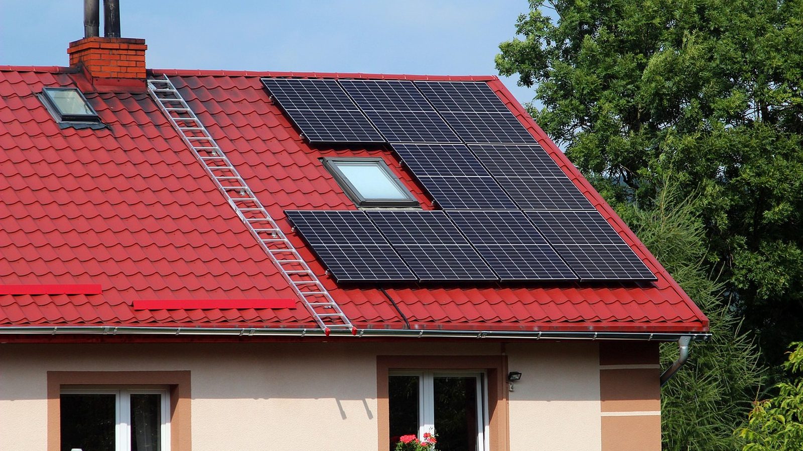 Rows of solar panels producing renewable energy