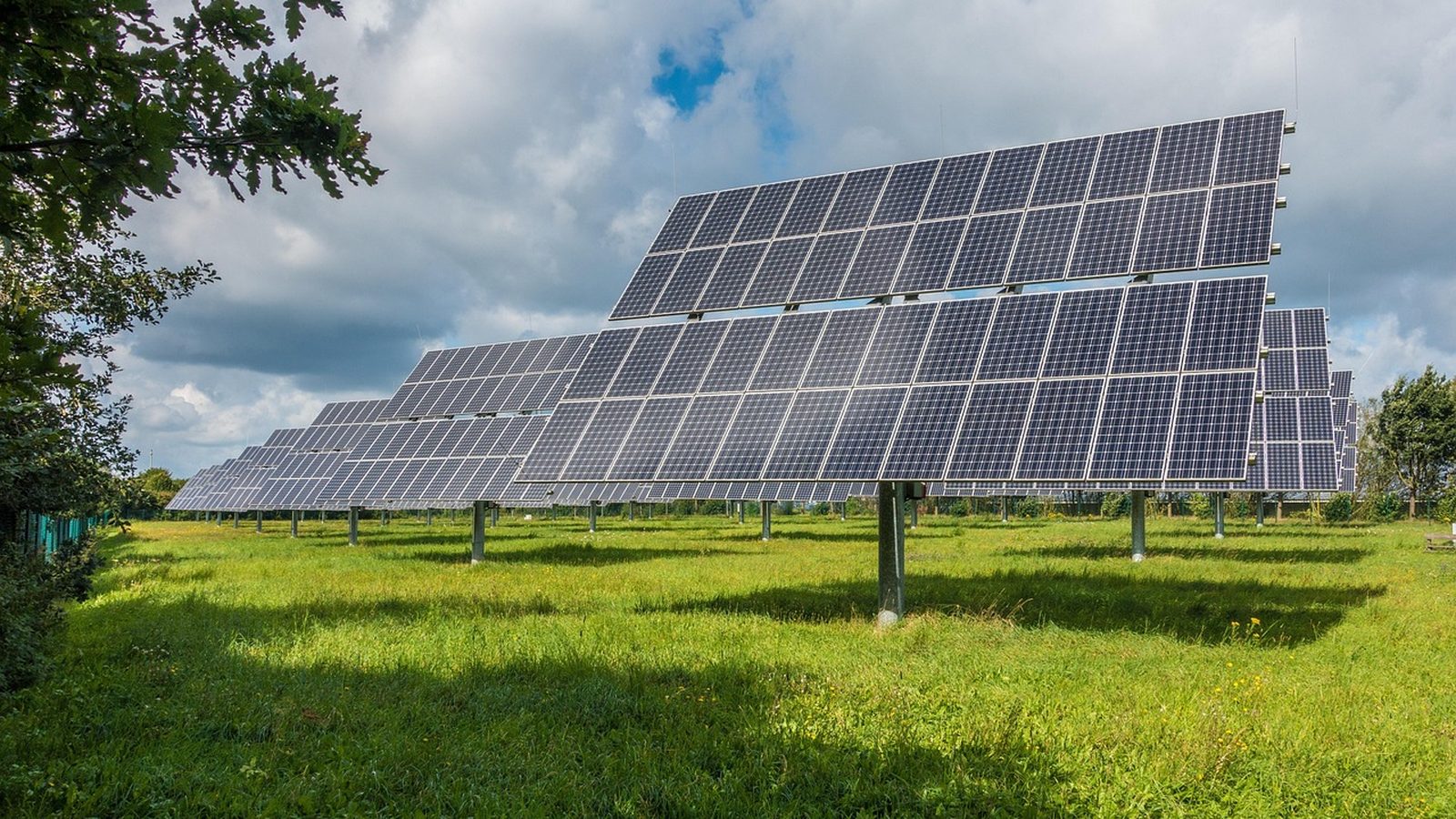 Ground level view of a photovoltaic solar installation