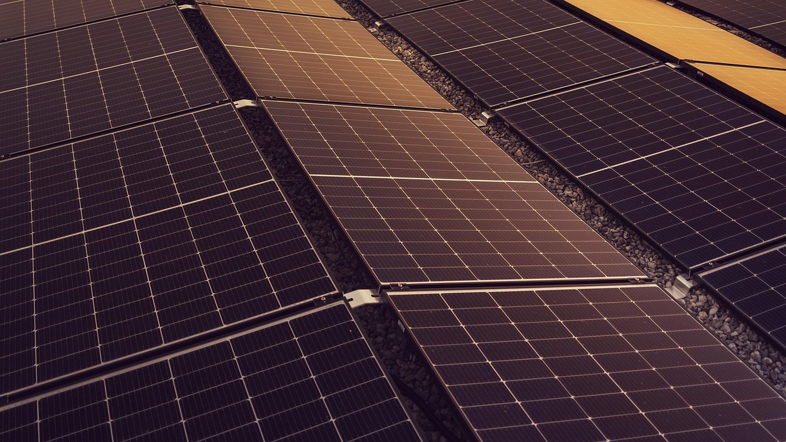 Close view of solar panels catching afternoon light