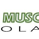 Green Muscle Solar logo