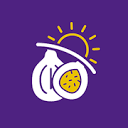 Solarfig logo